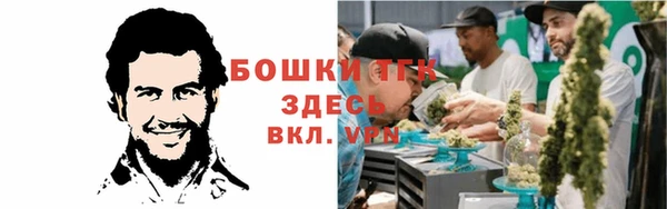 молекула духа Гусь-Хрустальный