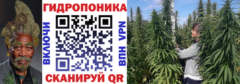 Канабис сатива  Купить где  Усть-Джегута 